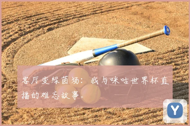 客厅变绿茵场：我与咪咕世界杯直播的难忘故事。