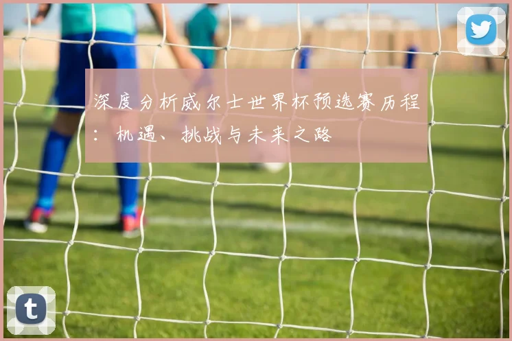 深度分析威尔士世界杯预选赛历程：机遇、挑战与未来之路