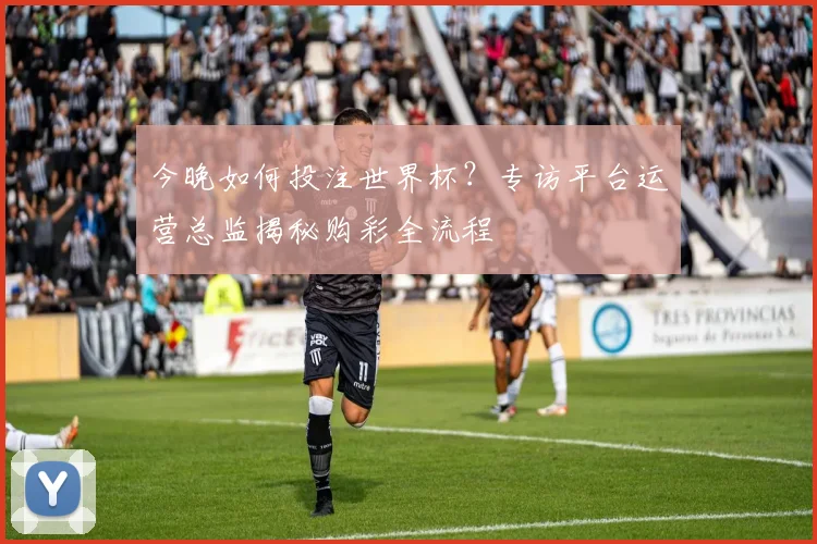 今晚如何投注世界杯？专访平台运营总监揭秘购彩全流程