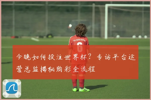 今晚如何投注世界杯？专访平台运营总监揭秘购彩全流程