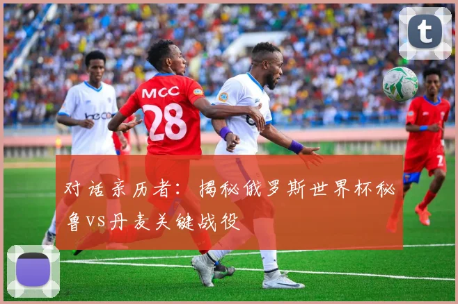 对话亲历者:揭秘俄罗斯世界杯秘鲁vs丹麦关键战役